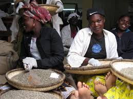 Mzuzu Women Farmers 