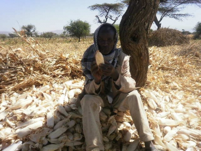  El Niño May Worsen Food Insecurity in Ethiopia