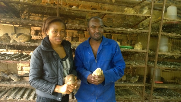 Maureen and Jackson Shabana hold quails in their bird house. 