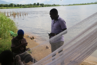 Malawi Fish Experts Call For More Investment and Farming To Boost Economic Gains